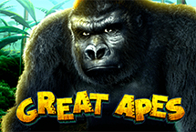 GREAT APES