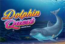DOLPHIN QUEST