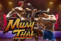 MUAY THAI CHAMPION